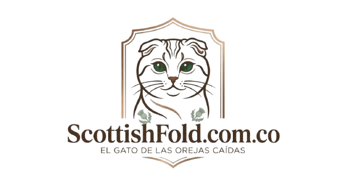ScottishFold.com.co